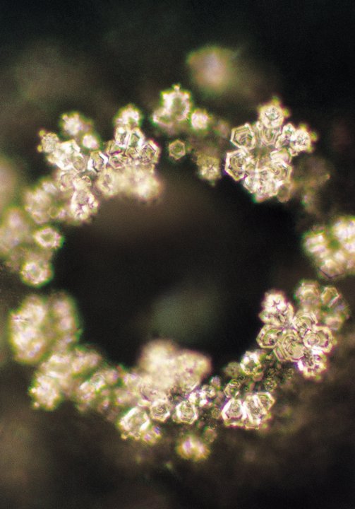 Masaru Emoto water crystal photography